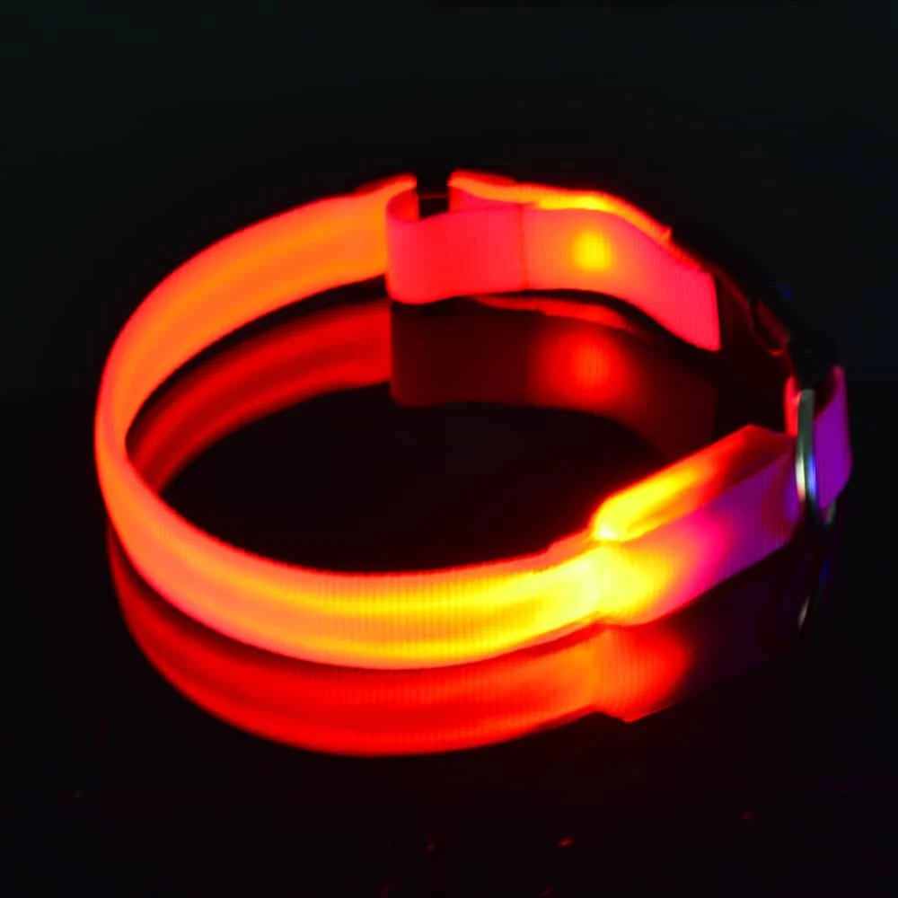 Led Halsband PX4 Oranje - 28cm Hond