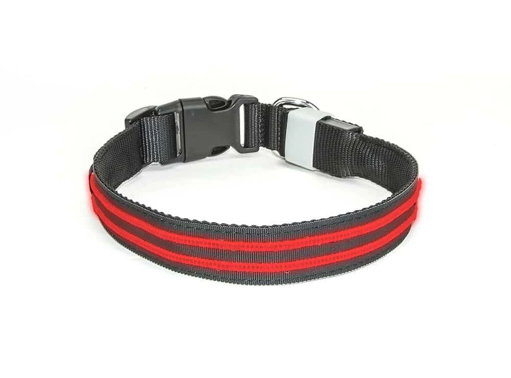 Led Halsband Waterproof Rood - 40cm Hond