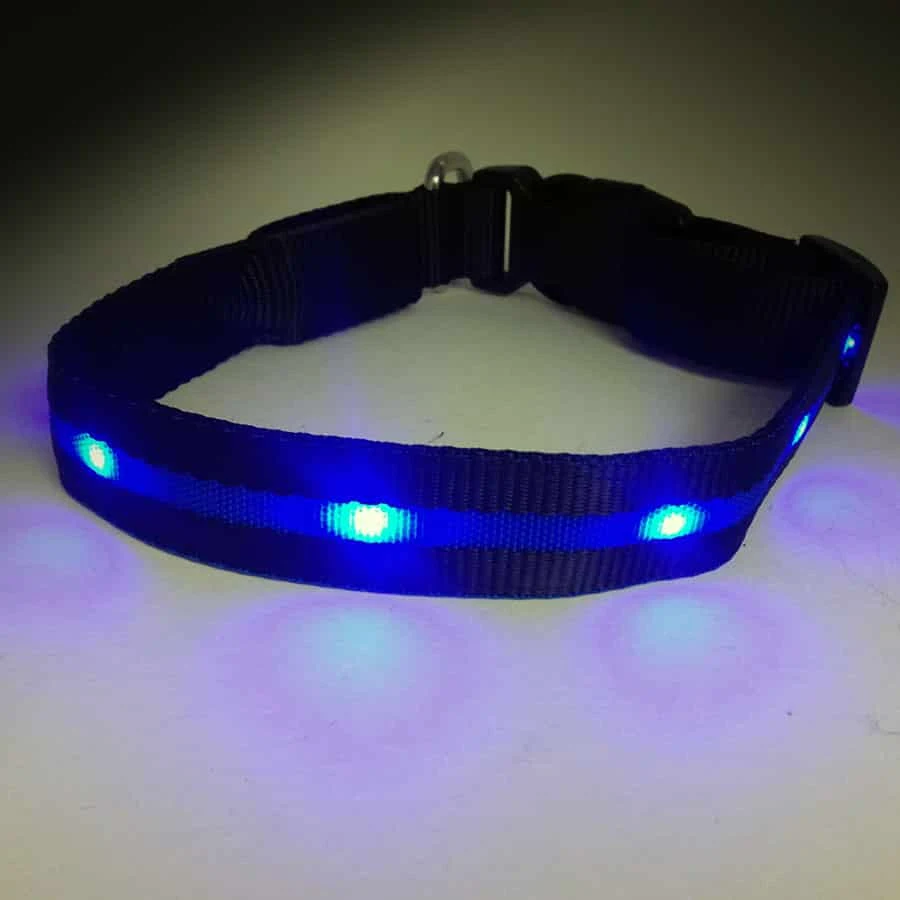 Led Halsband PX5 Blauw - 60cm Hond