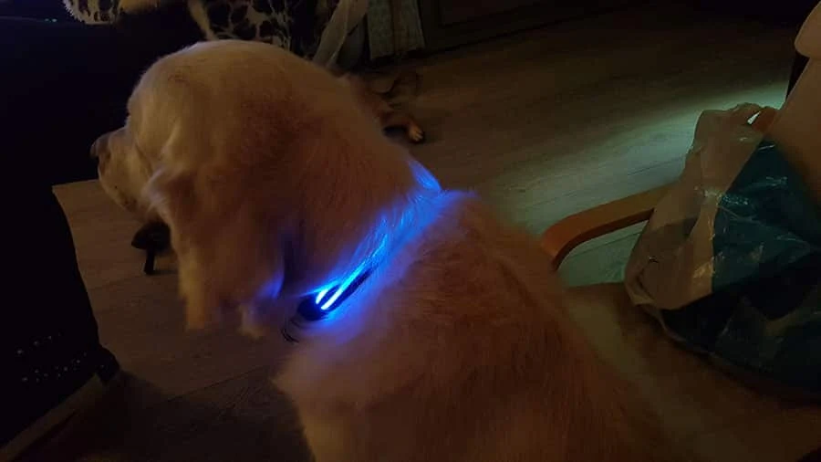 LED Halsband Waterproof Blauw 40-50cm PX1+ Hilox