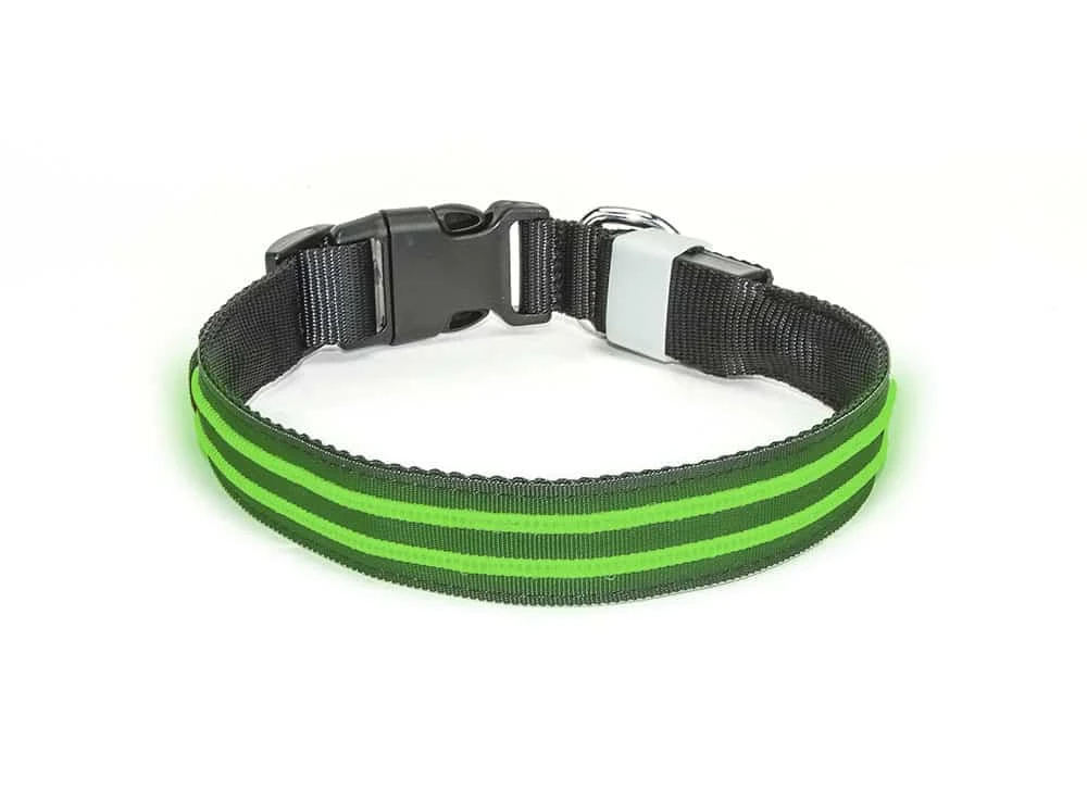 Led Halsband Waterproof Groen - 50cm Hond