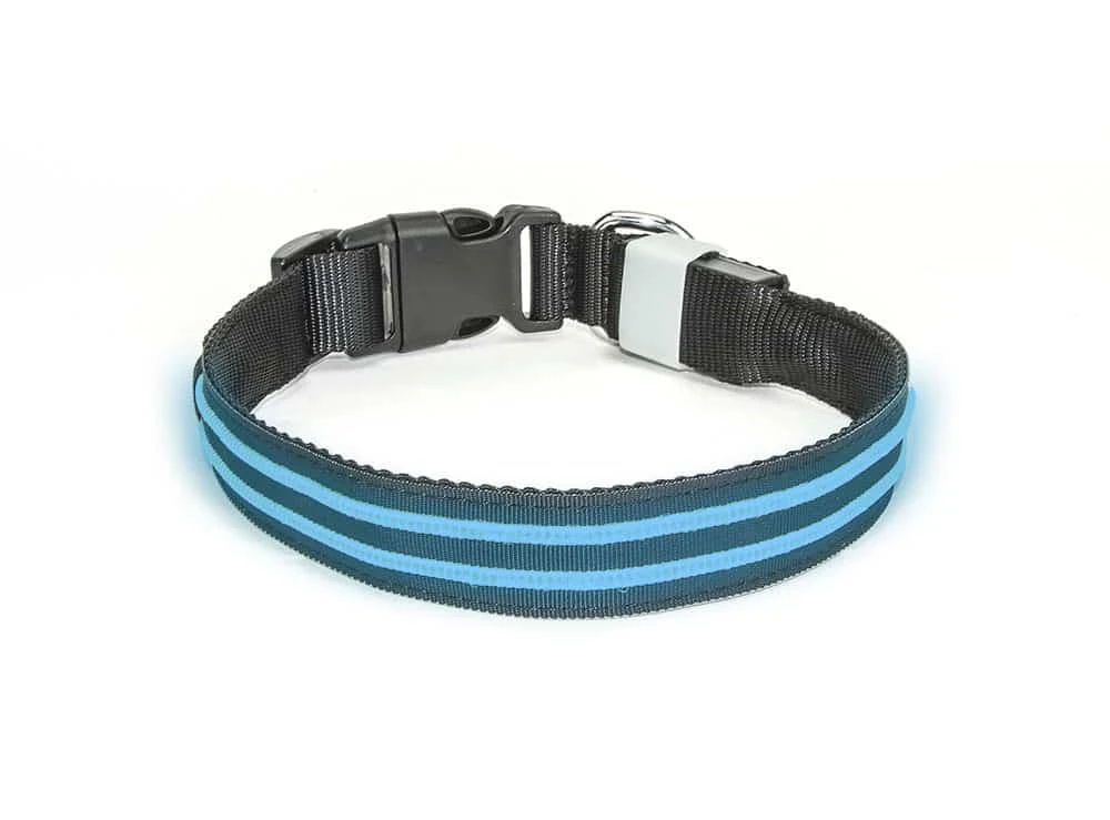 Led Halsband Waterproof Blauw - 40cm Hond