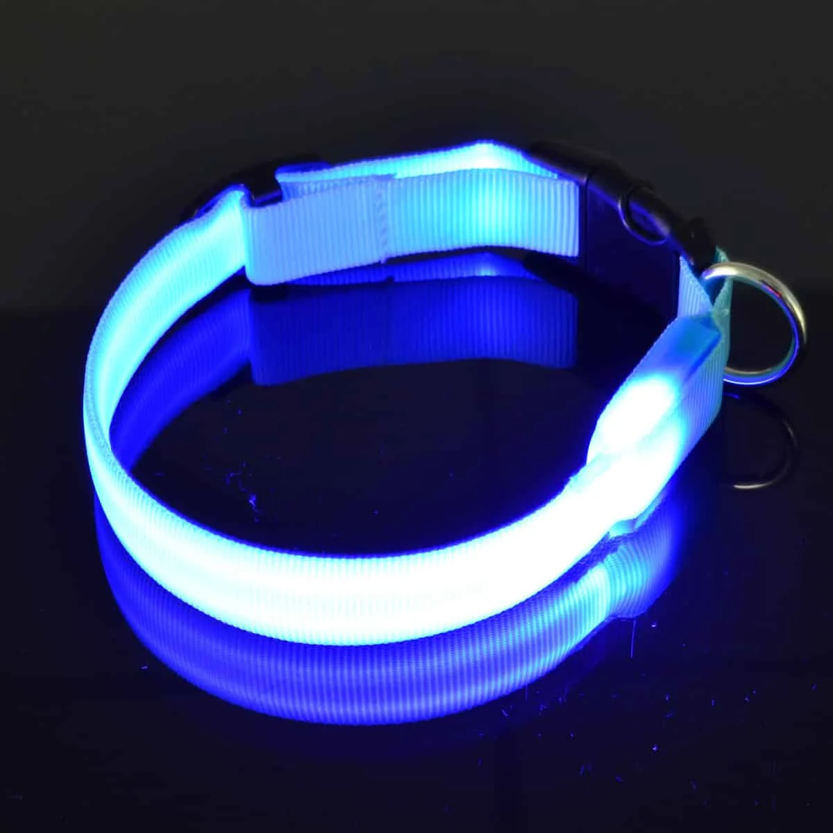Led Halsband PX4 Blauw - 28cm Hond