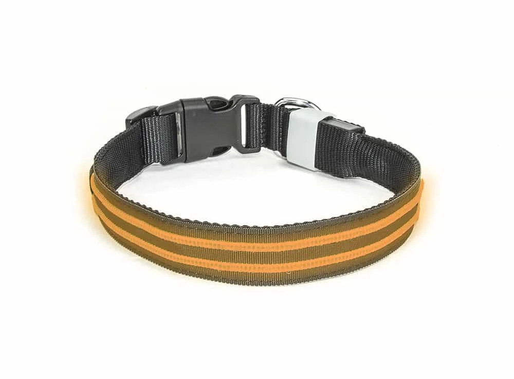 Led Halsband PX1 Oranje - 50cm Hond